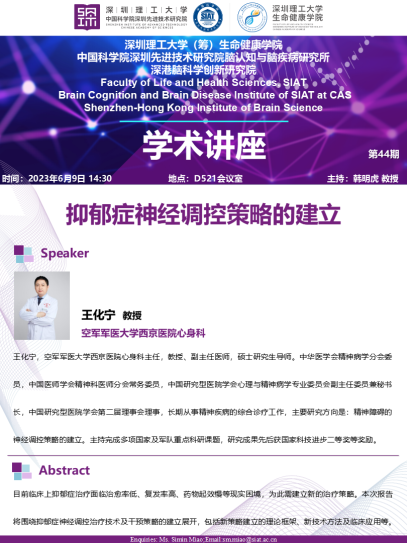 抑郁症神经调控策略的建立